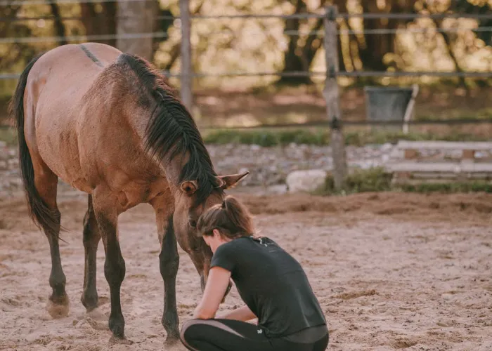 ecoute-active-leadership